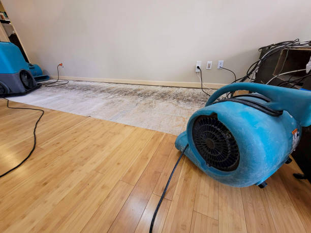 Professional Basement Flood Cleanup technician working in Covington, WA